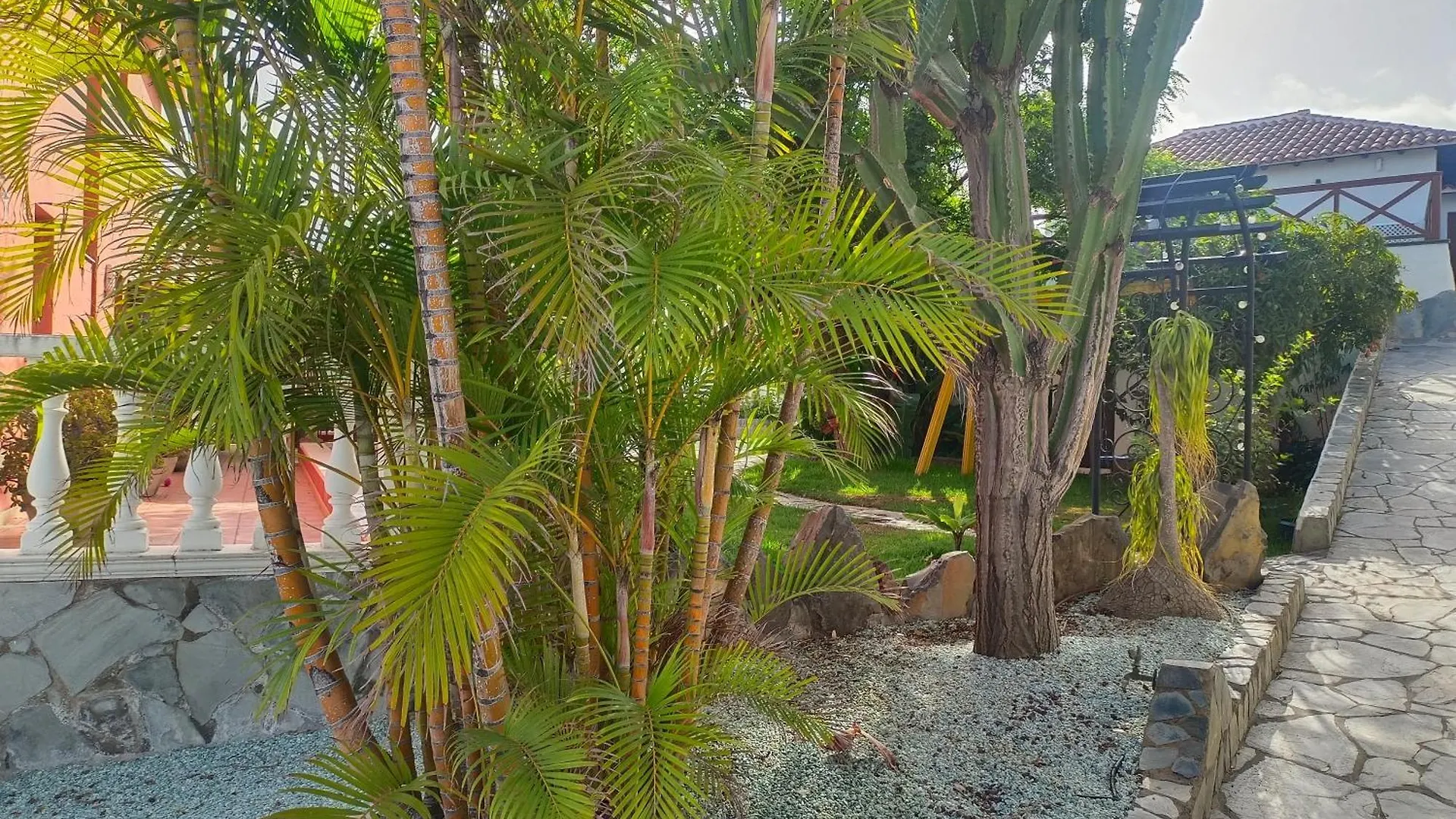 La Barbacoa Familiar De Gardel Apartment Icod De Los Vinos 0*,